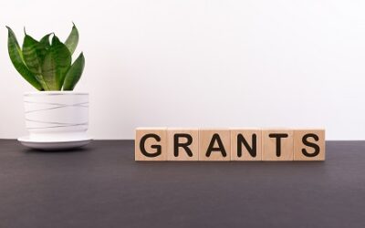Local Authority Grant Funding and Timescales