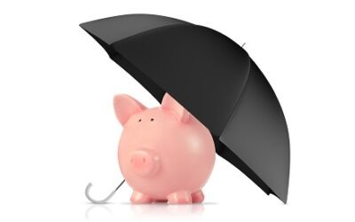 Tax planning and asset protection