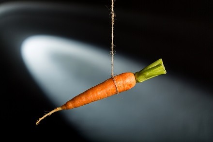 carrot employee incentives & retention